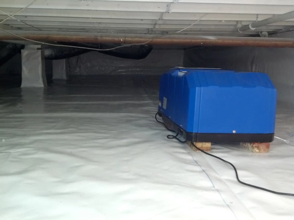 Enviro Fresh encapsulated crawl space showing clean, dry environment