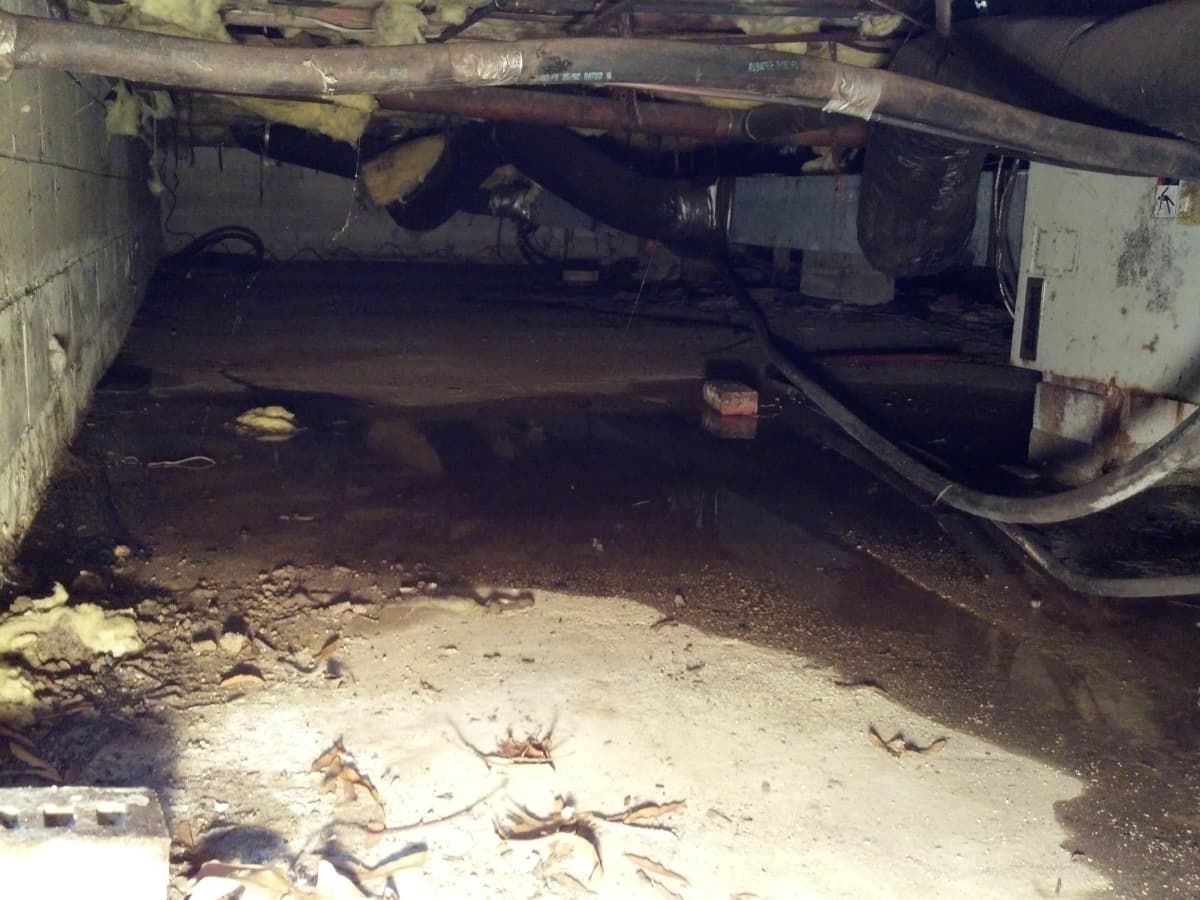 Untreated crawl space showing moisture problems, mold, and poor conditions